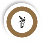 Updated Zoz Circle Logo (10)